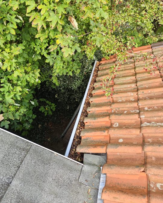 Dakonderhoud 3 Dakonderhoud 3